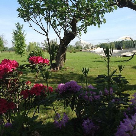 B&B La Castellana Borgolavezzaro Buitenkant foto